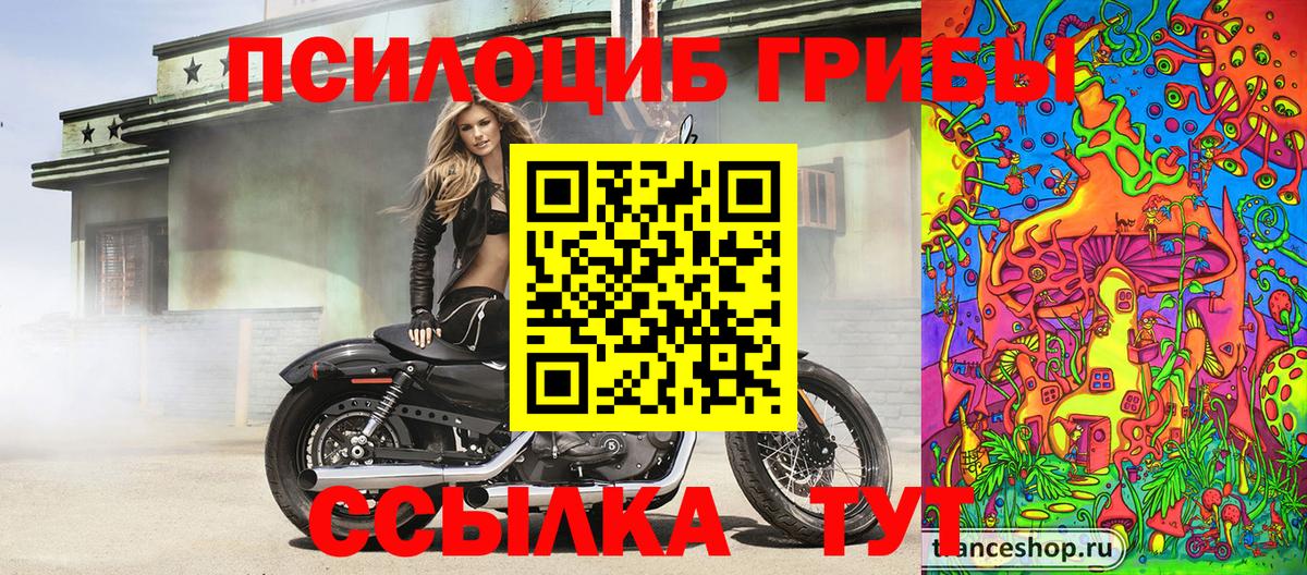 Псилоцибиновые грибы GOLDEN TEACHER Мариинск
